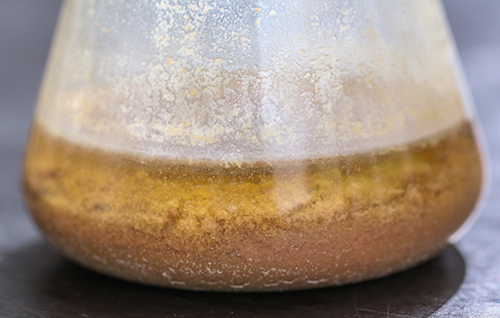 飼料加工生產—酶制劑解決方案